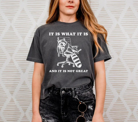 CUSTOM SCREEN PRINT SHIRT - IT IS WHAT IT IS RACOON